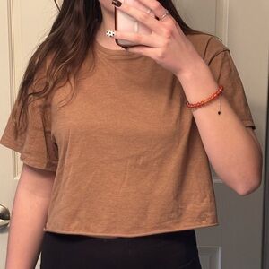 Wild Fable Brown Small Crop/T-Shirt